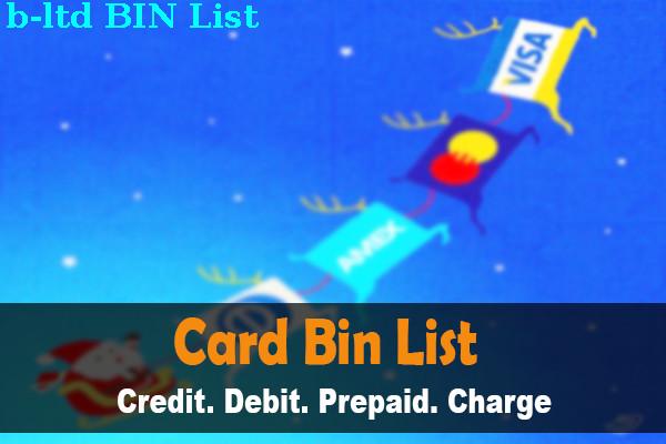 BIN List B, Ltd.